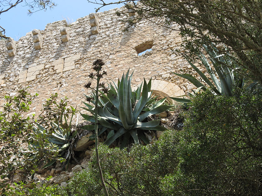 Die Ruine des Castel de Santueri bei Felanitx