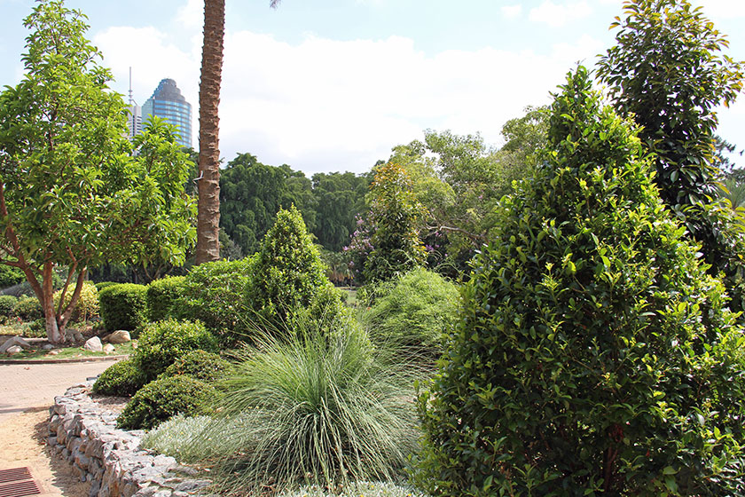 Brisbanes botanischer Garten