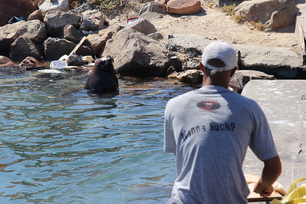 Mariner's Warf, Hout Bay