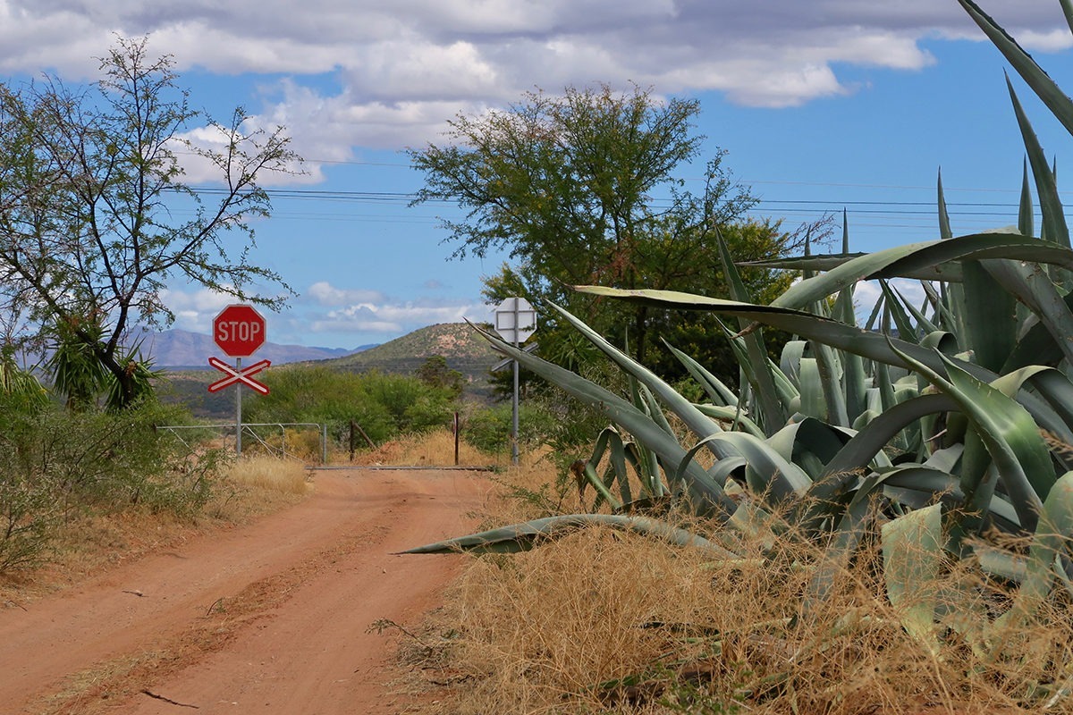 In der kleinen Karoo