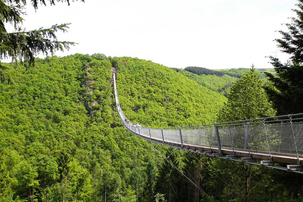 Die Hängeseilbrücke Geierlay