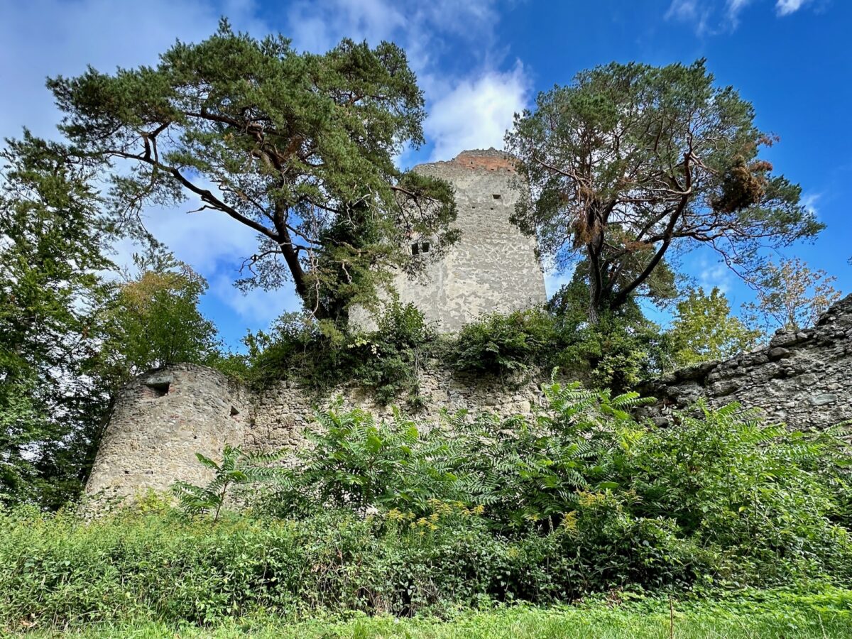 Burgruine Altbodmann