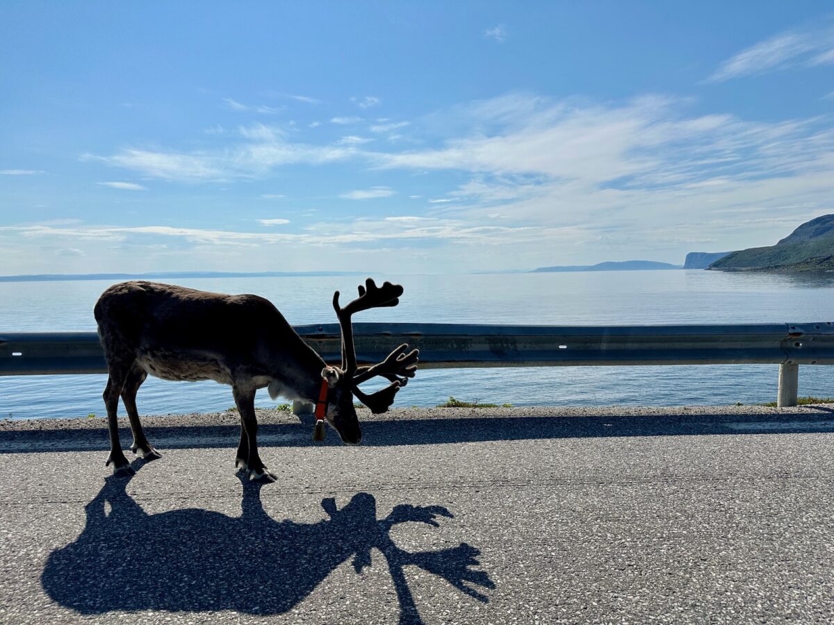 Rudolf chillte auch ein wenig auf der Straße rum.