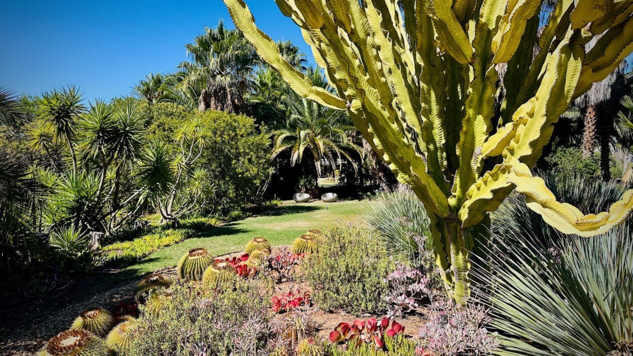Der traumhafte Garten in Mo & Rose's Nature Retreat