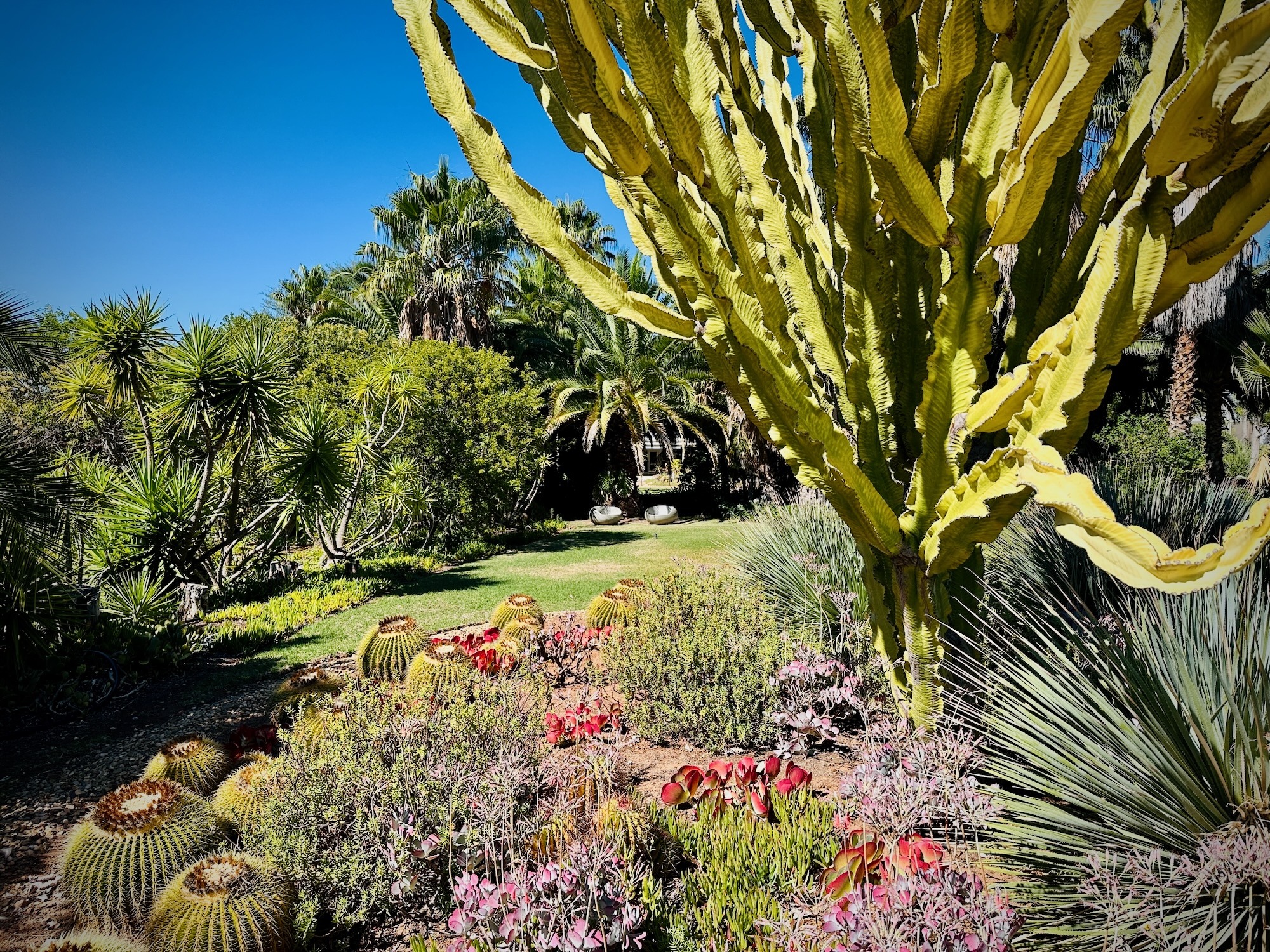 Der traumhafte Garten in Mo & Rose's Nature Retreat